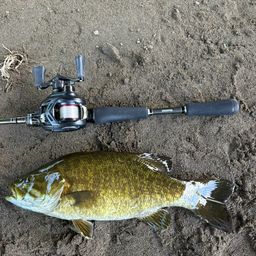 スモールマウスバス