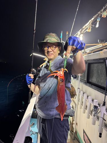 イカの釣果