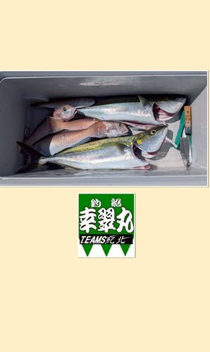 シロアマダイの釣果