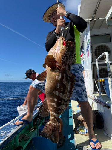 モロコの釣果