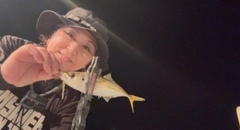 マアジの釣果