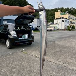 タチウオ