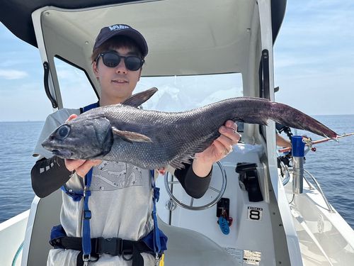 イバラヒゲの釣果