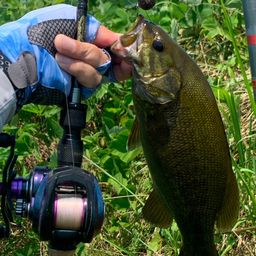 スモールマウスバス