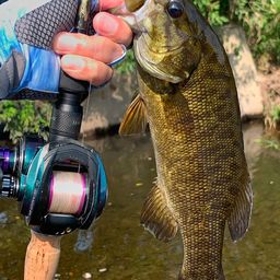 スモールマウスバス