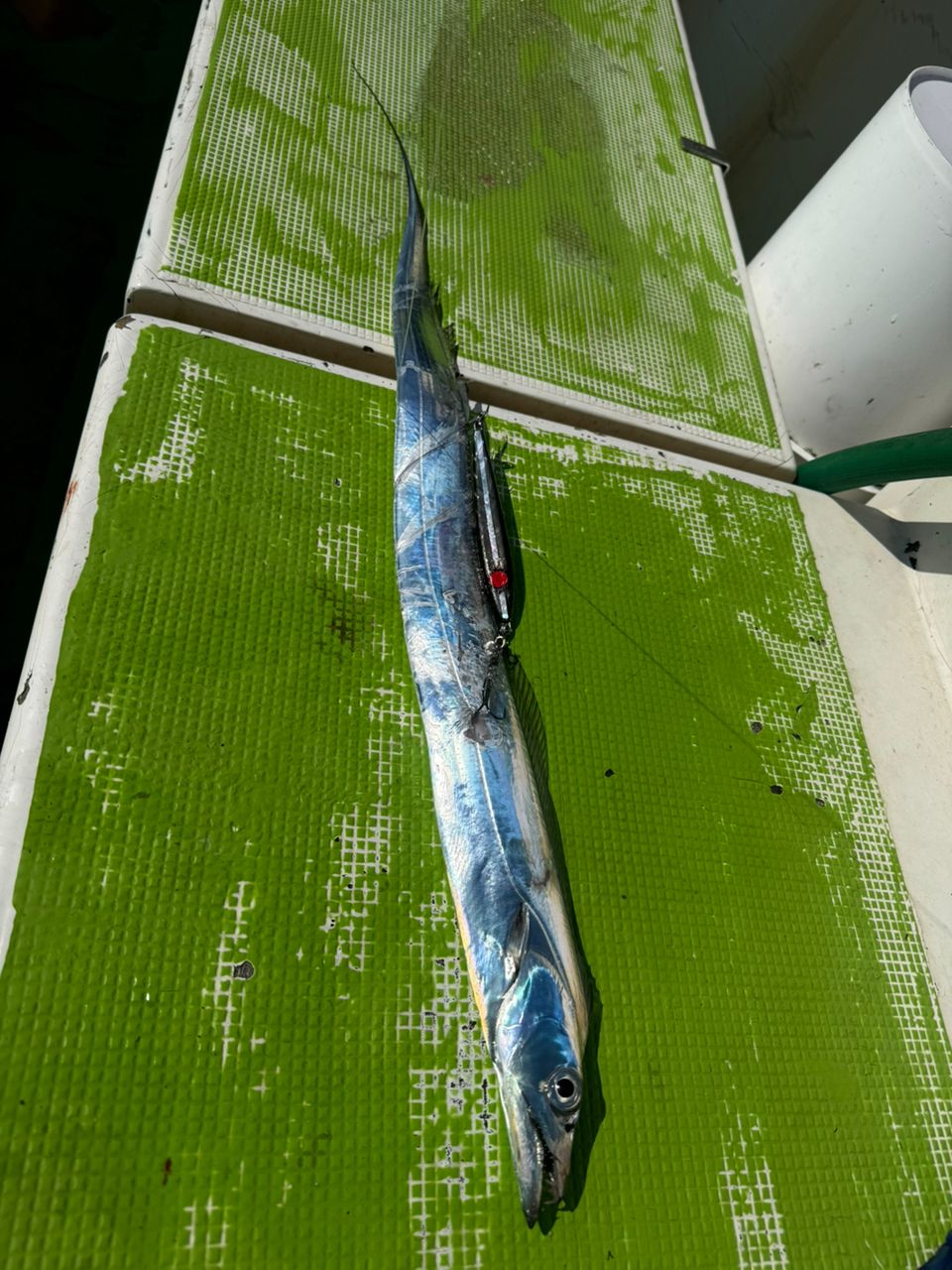 E-OSさんの釣果 2枚目の画像