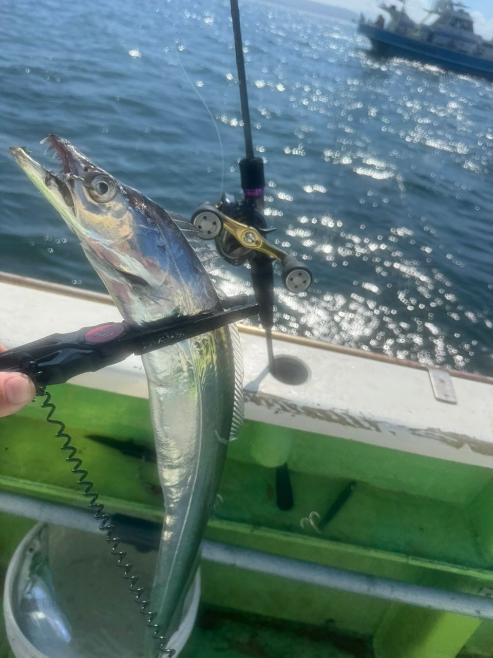 E-OSさんの釣果 3枚目の画像