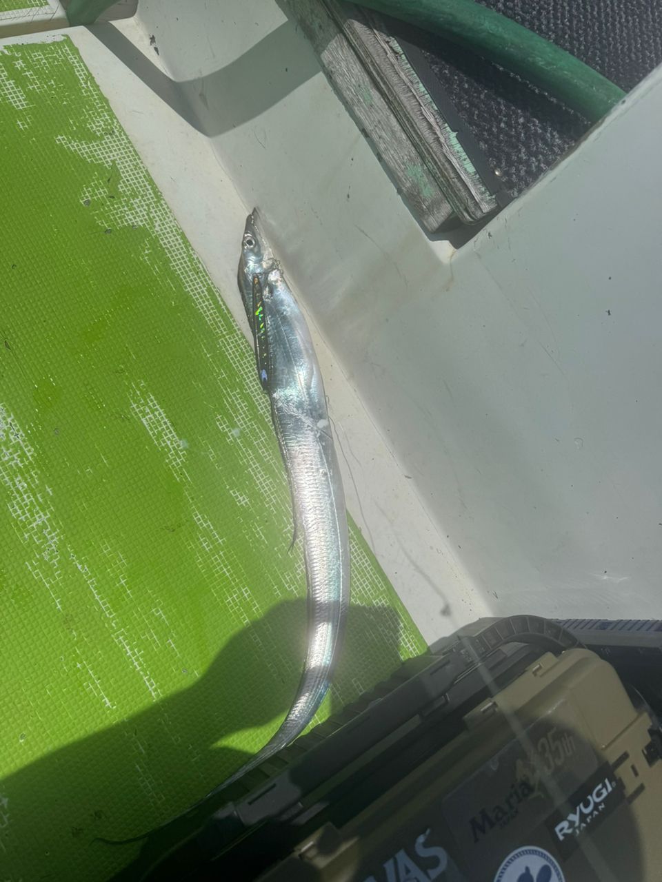 E-OSさんの釣果 2枚目の画像