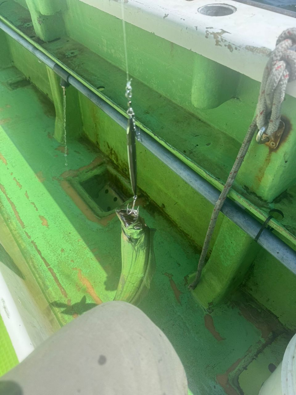 E-OSさんの釣果 3枚目の画像