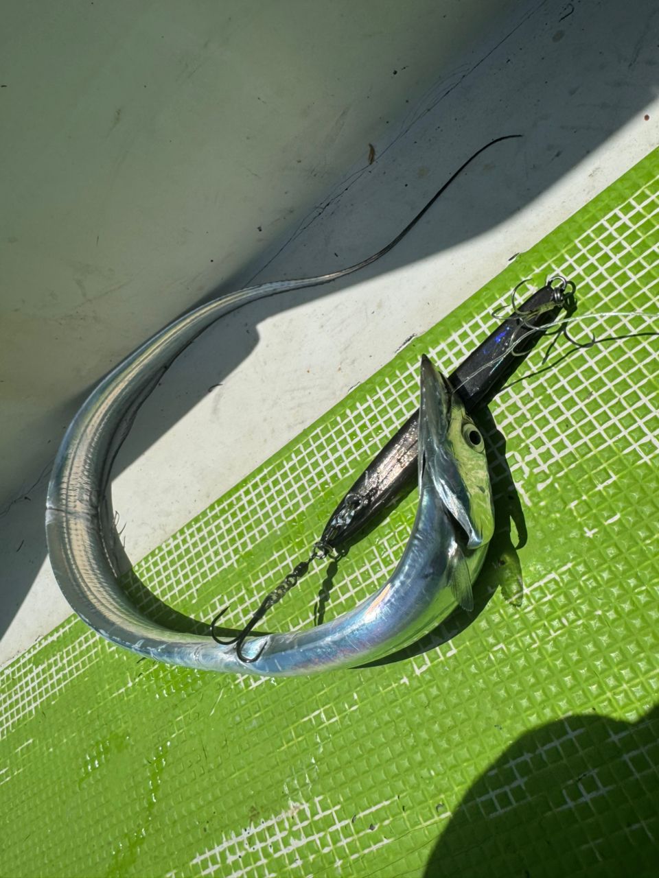 E-OSさんの釣果 3枚目の画像