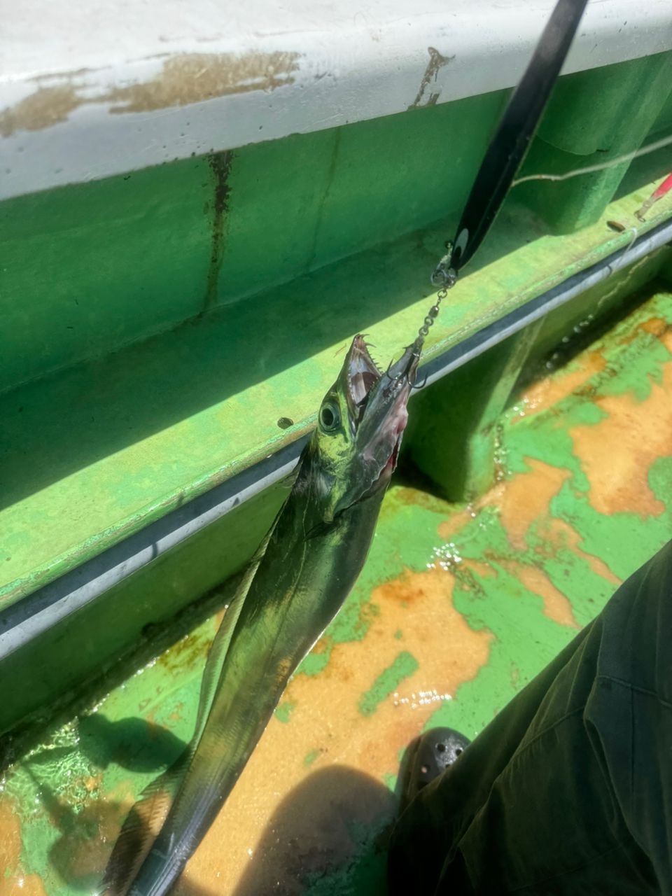 E-OSさんの釣果 2枚目の画像