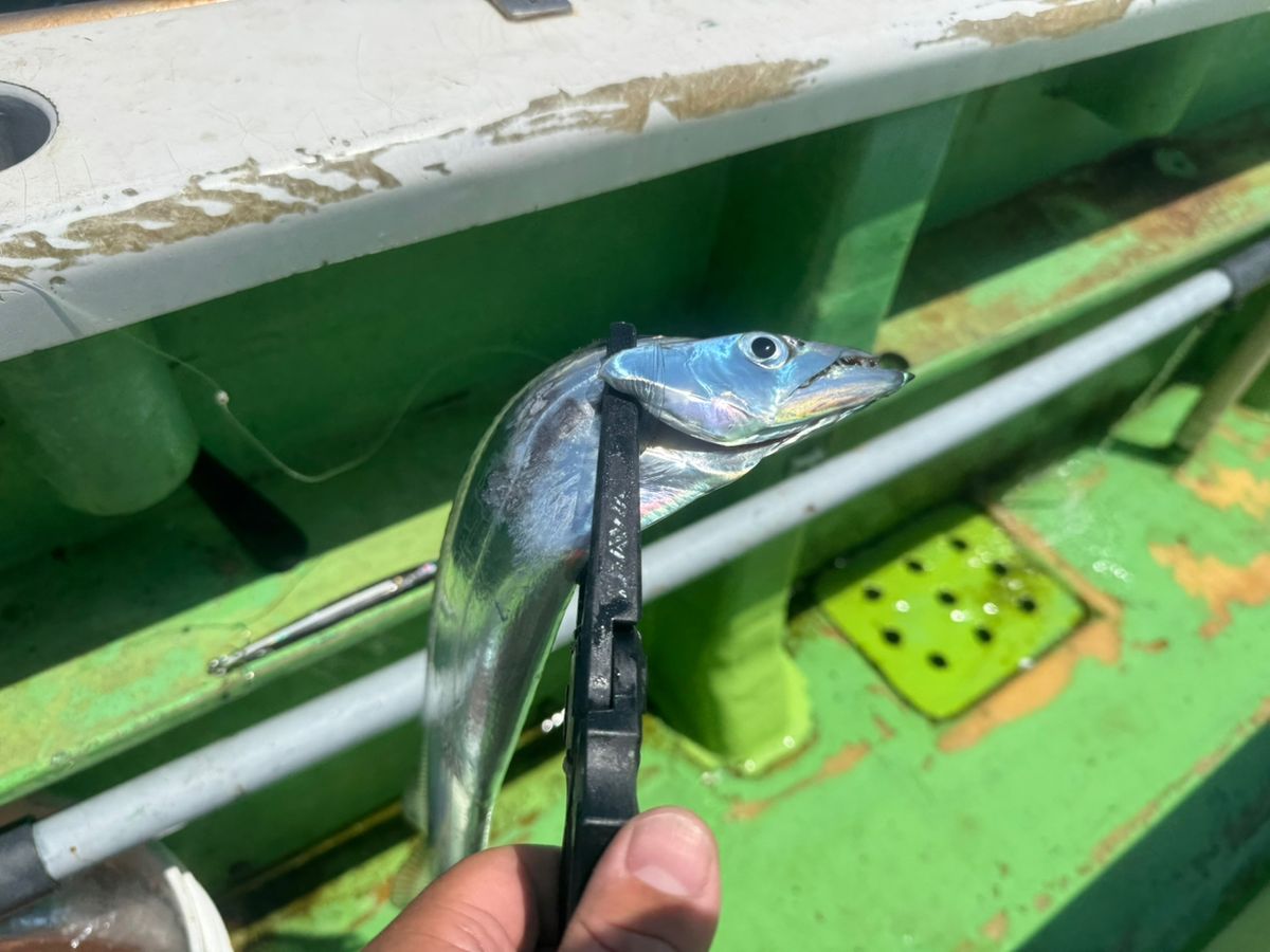 E-OSさんの釣果 3枚目の画像