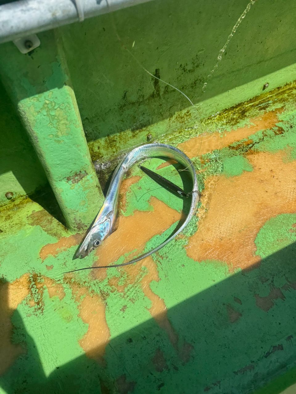 E-OSさんの釣果 3枚目の画像