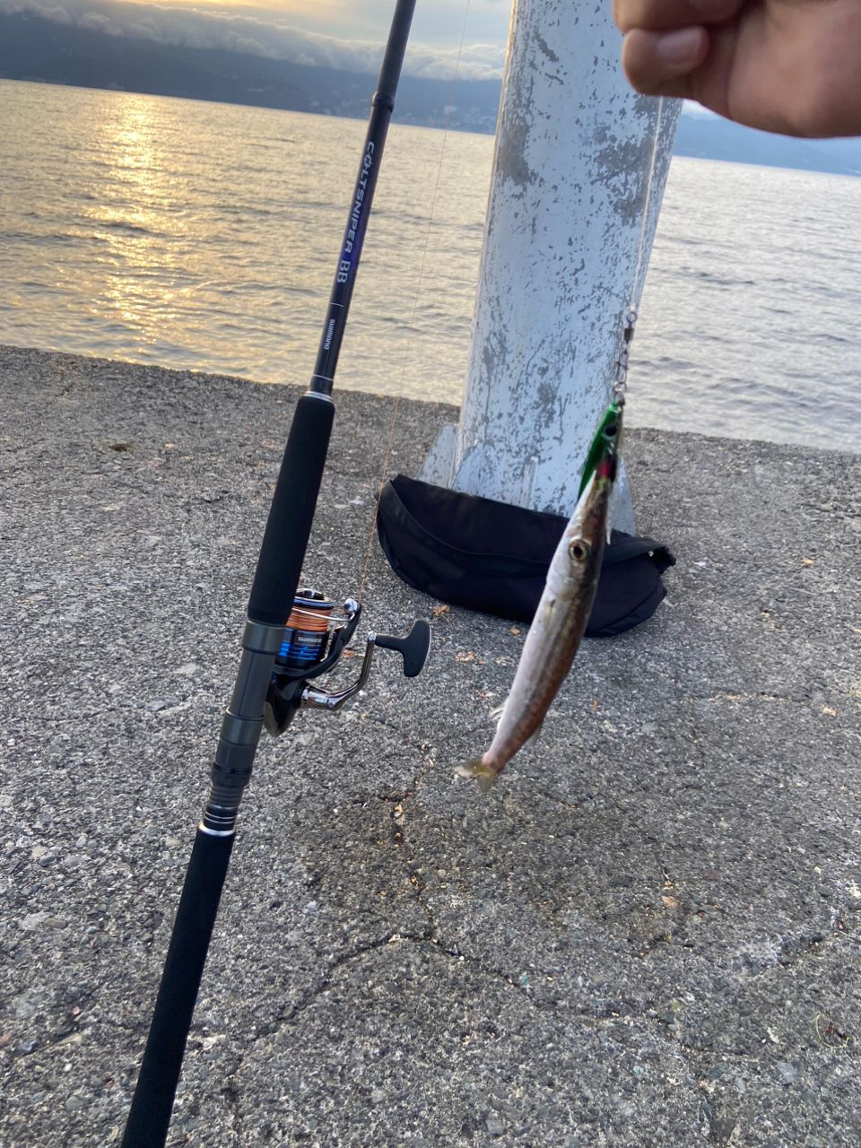 クロムツ