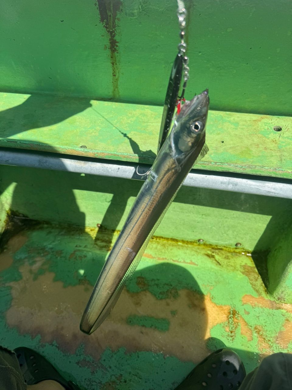 E-OSさんの釣果 3枚目の画像