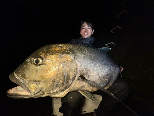 GTの釣果