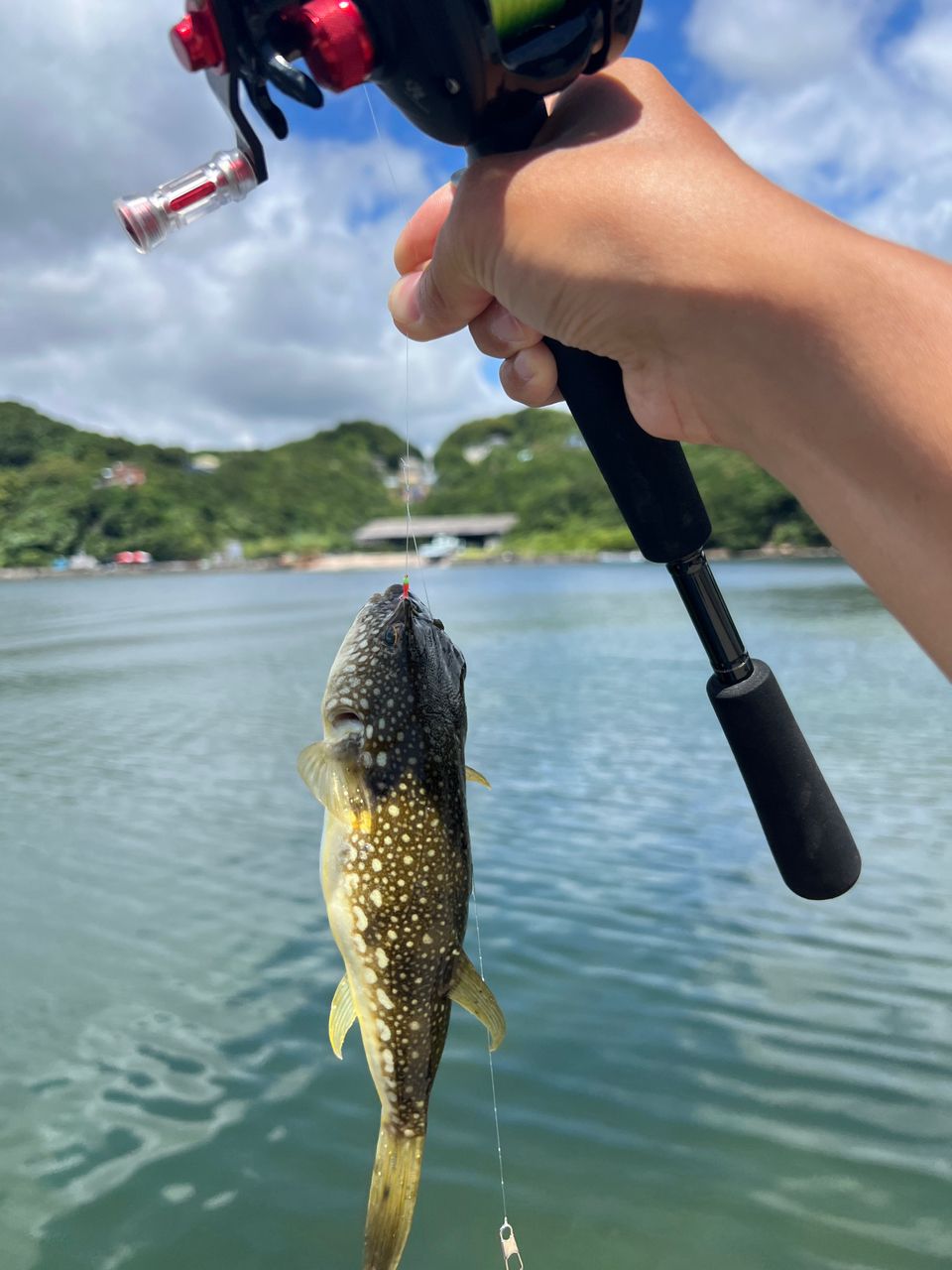ノゴイ