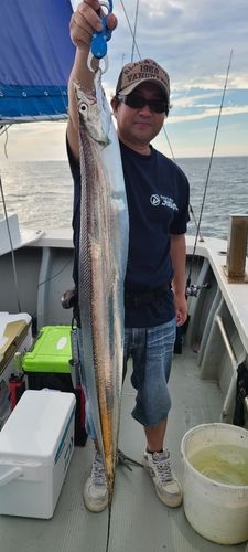 タチウオの釣果