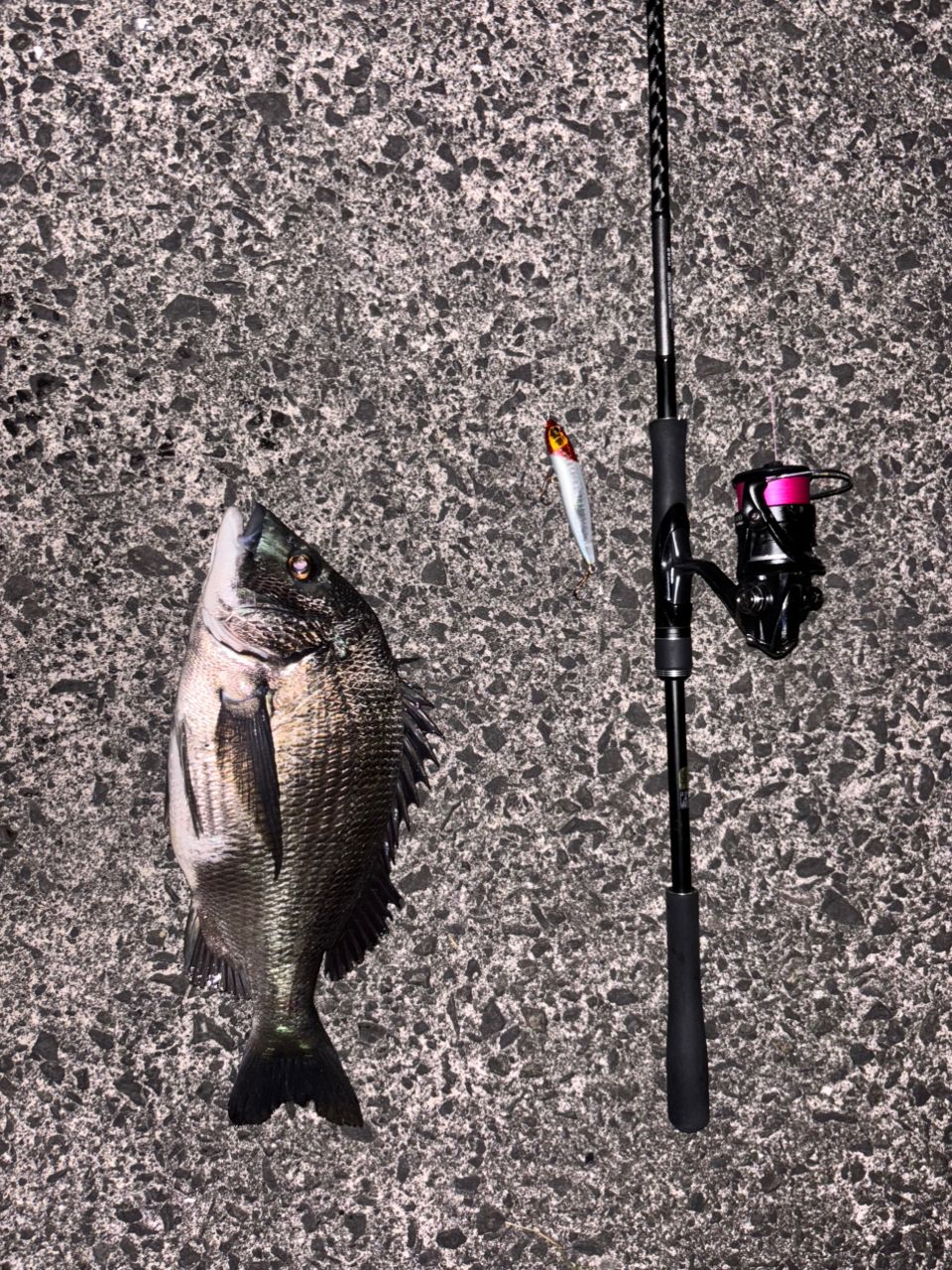 SHIMANO 18ディアルーナ S96Mの最安値・インプレ・釣果 | 本音の