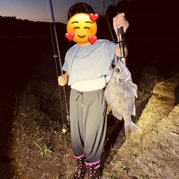 キビレ