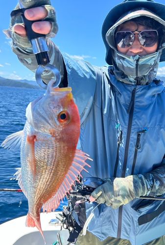 レンコダイの釣果