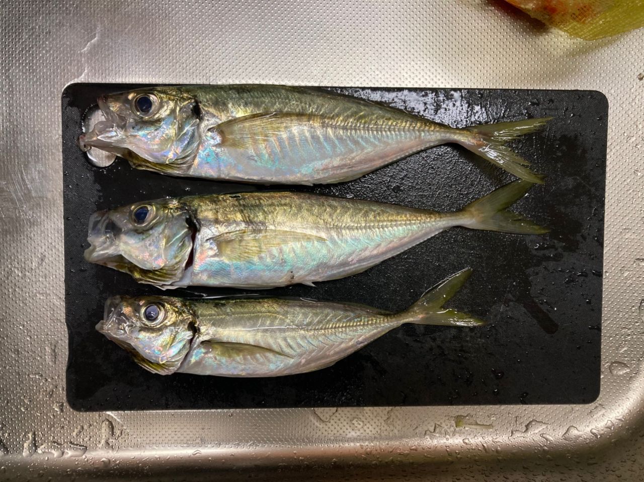 アジ