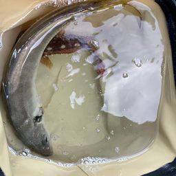 アジ