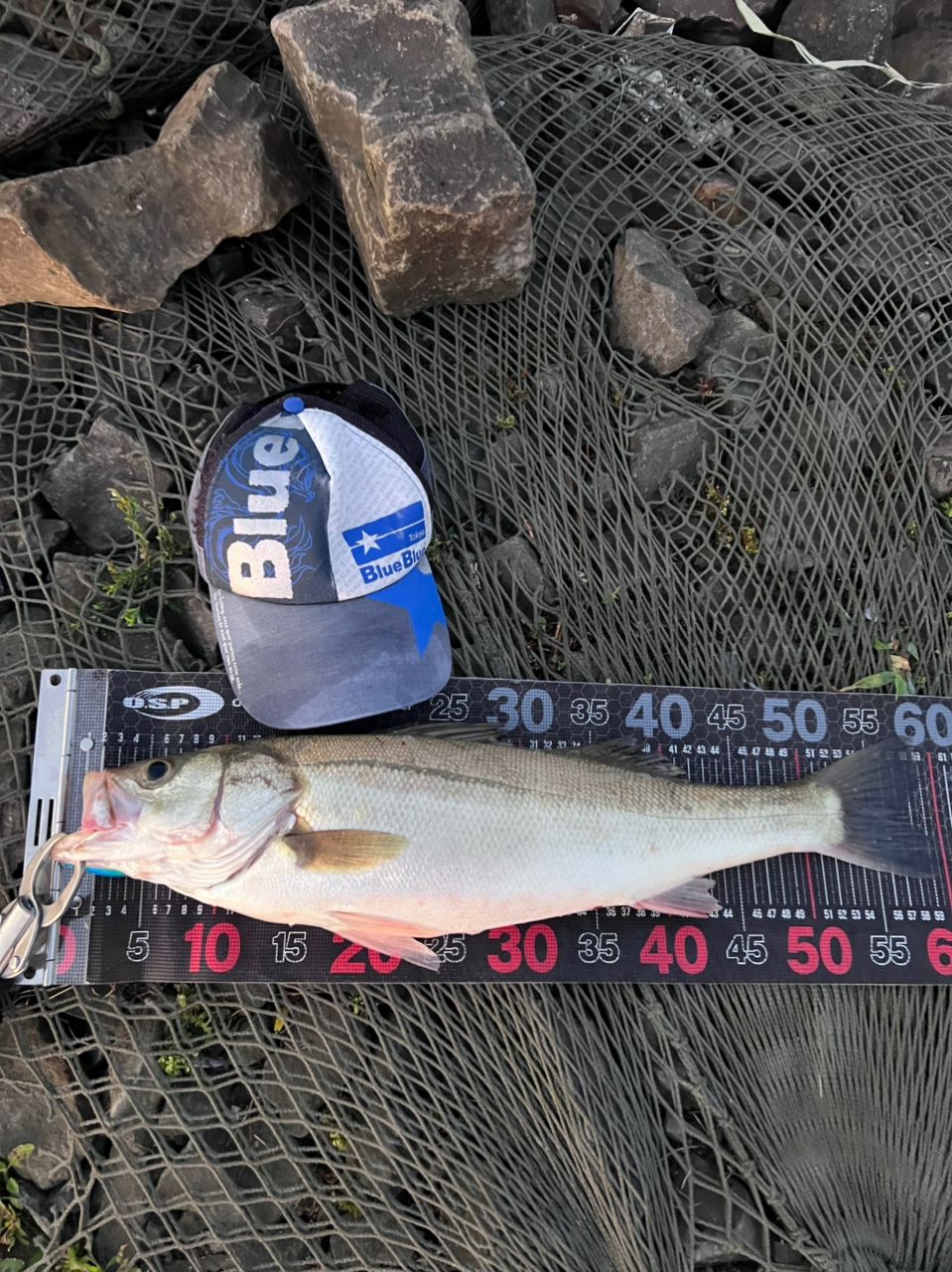 h*2様 SHIMANO 19バンキッシュ 5000HG シマノ(SHIMANO) 19 ヴァンキッシュ C5000HG 041661｜アウトドア