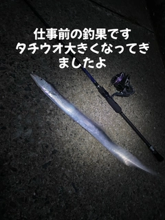 タチウオの釣果