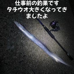 タチウオ
