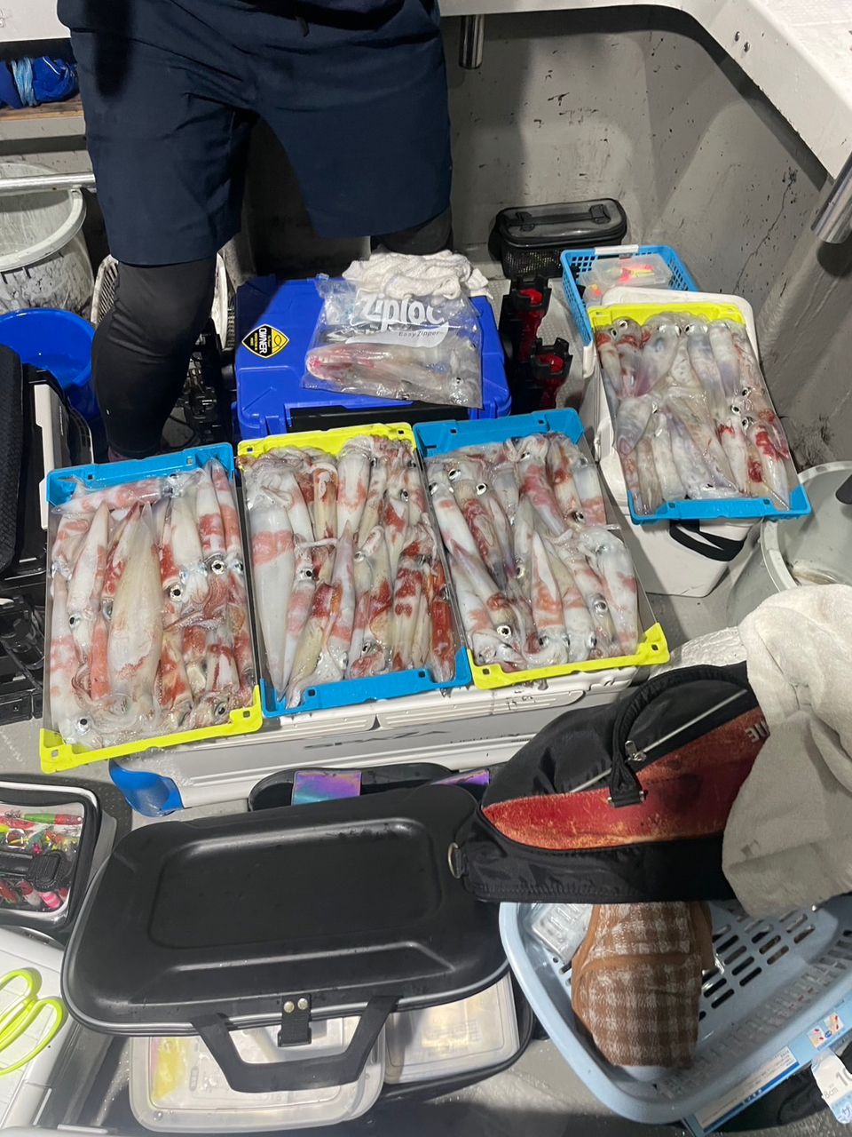 田畑良朗@なつき丸さんの釣果 3枚目の画像