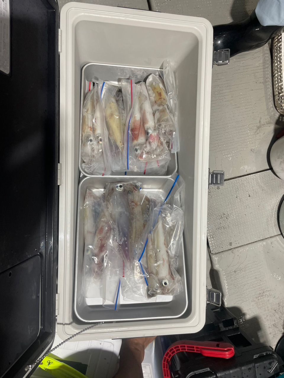 田畑良朗@なつき丸さんの釣果 2枚目の画像