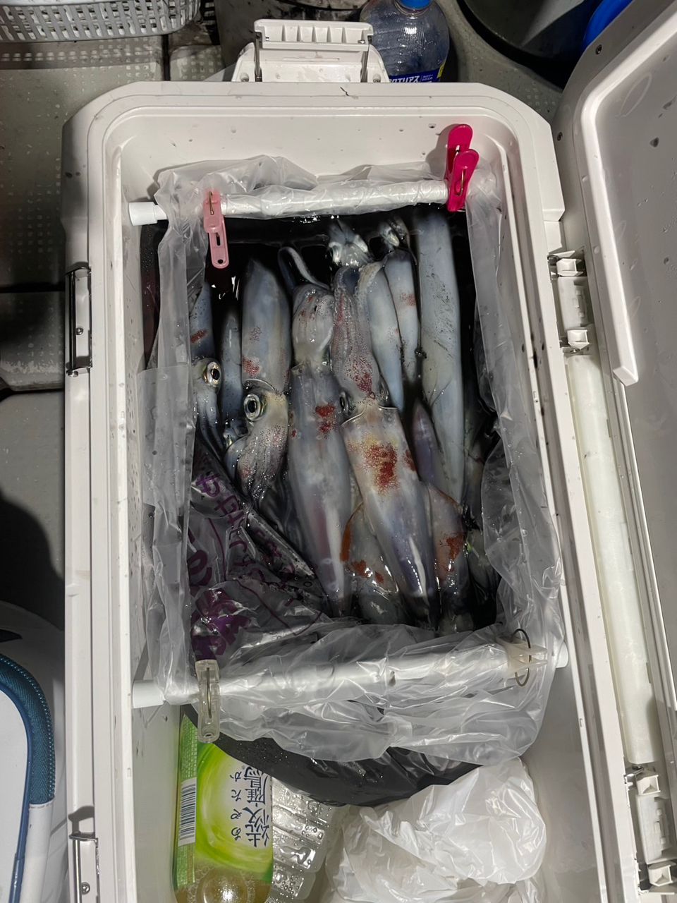 田畑良朗@なつき丸さんの釣果 3枚目の画像