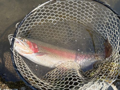 パワーフィールド つりぼり あかし