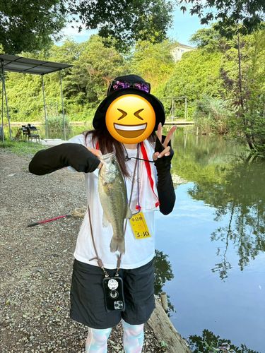 釣パラダイス