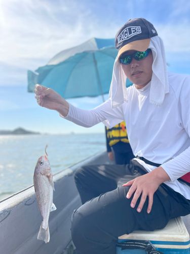 イシモチの釣果