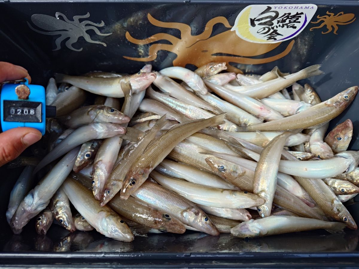 変態様さんの釣果 2枚目の画像