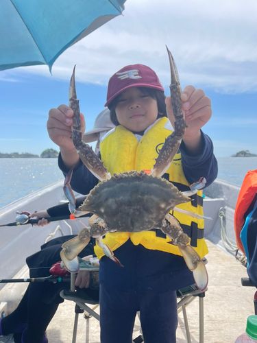 ワタリガニの釣果