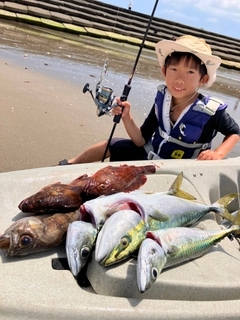 イナダの釣果