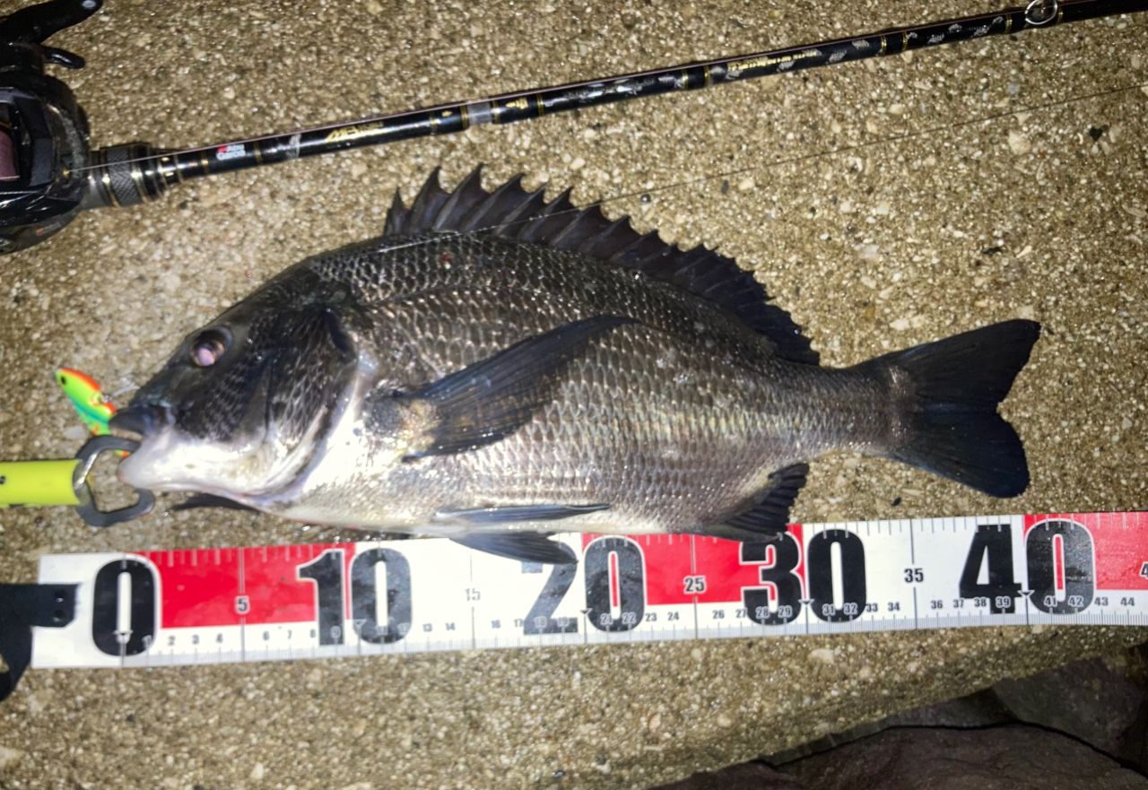AbuGarcia クロスフィールド XRFC-704M-MBの最安値・インプレ