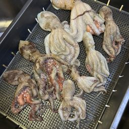 タコ