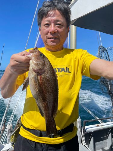 タイの釣果