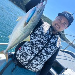 ハマチ