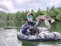 レインボートラウトの釣果