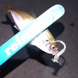アジ