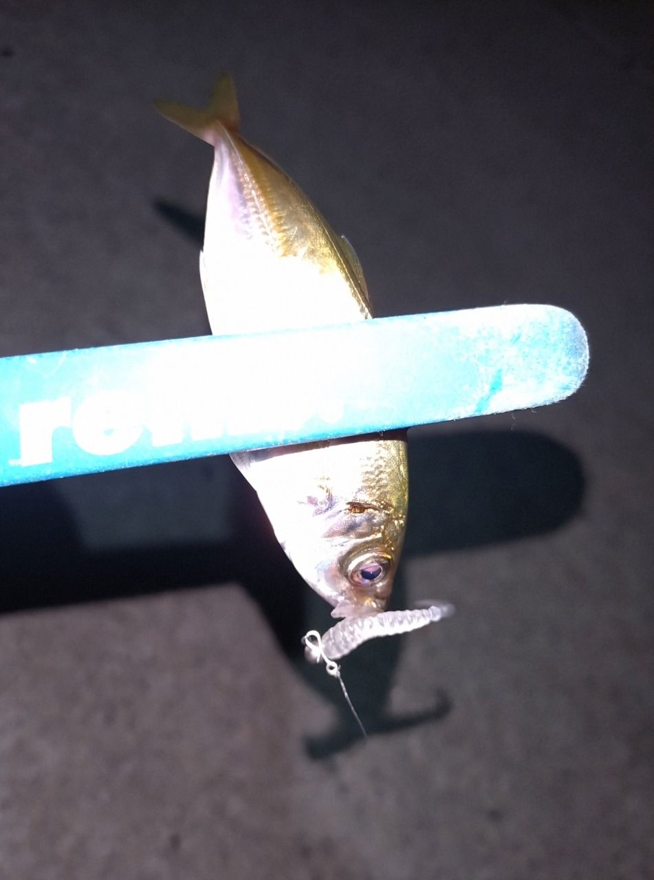 アジ