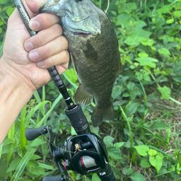 スモールマウスバス