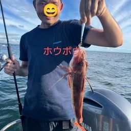 ホウボウ
