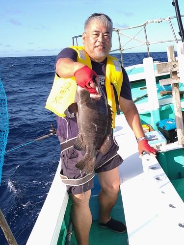 マハタモドキの釣果