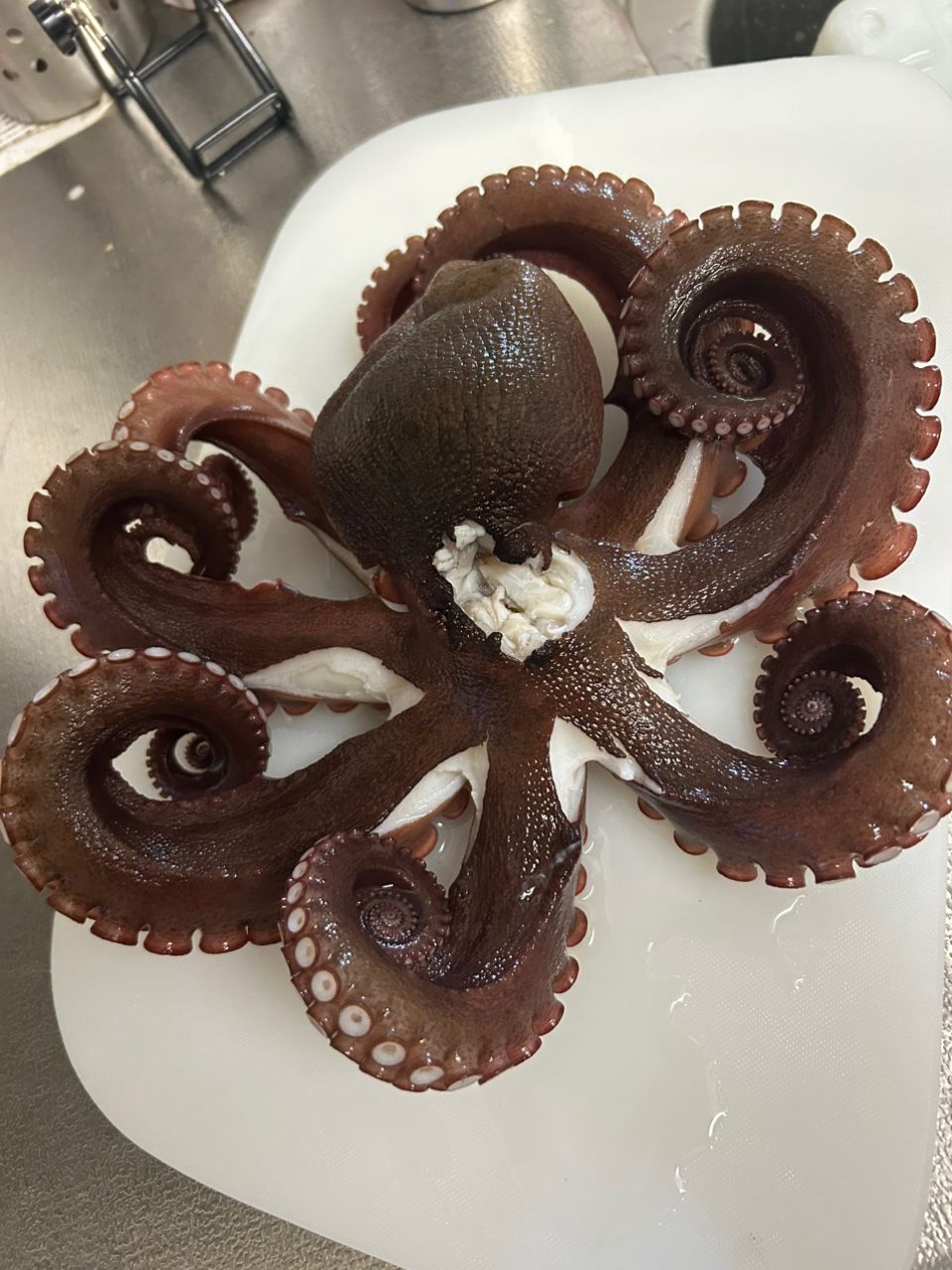 ユタさんさんの釣果 2枚目の画像